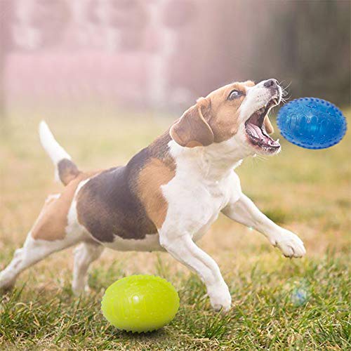 Petper Cw-0037EU - Juguete con sonido de pelota para perros (azul)