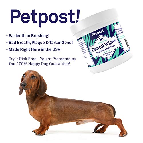 Petpost | Dog Dental Wipes: Bad Breath, Plaque and Cavities Disappear. 100 Soaked Pads in a Natural Cleaning Solution for Teeth