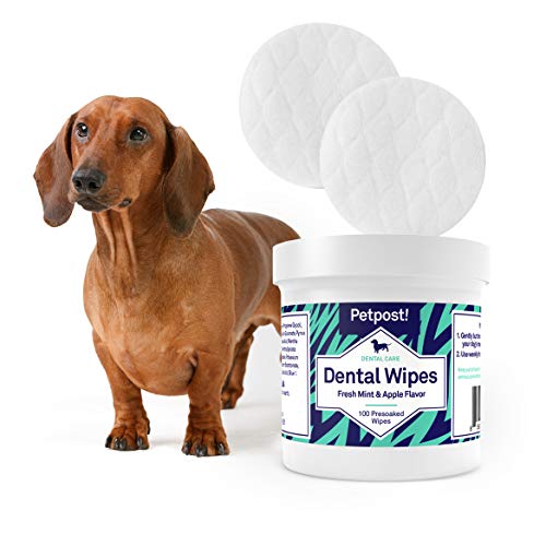 Petpost | Dog Dental Wipes: Bad Breath, Plaque and Cavities Disappear. 100 Soaked Pads in a Natural Cleaning Solution for Teeth