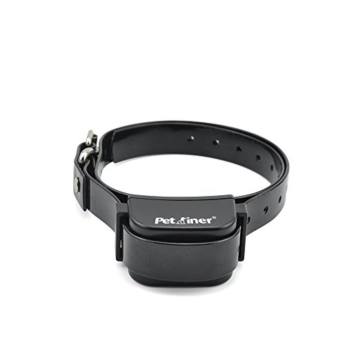 Petrainer Collar de adiestramiento por vibración Recargable y Sumergible PET916N, 300 Metros, hasta 2 Perros