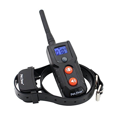 Petrainer Collar de adiestramiento por vibración Recargable y Sumergible PET916N, 300 Metros, hasta 2 Perros