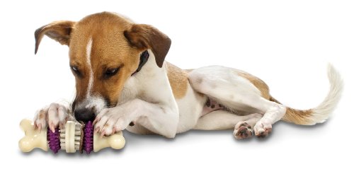 Petsafe All Natural Rawhide