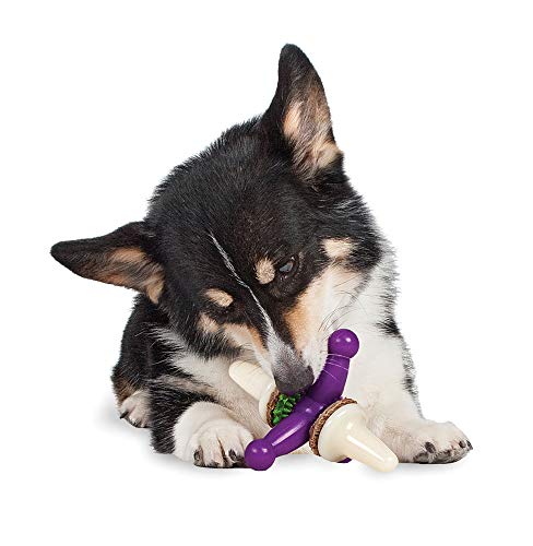 Petsafe All Natural Rawhide