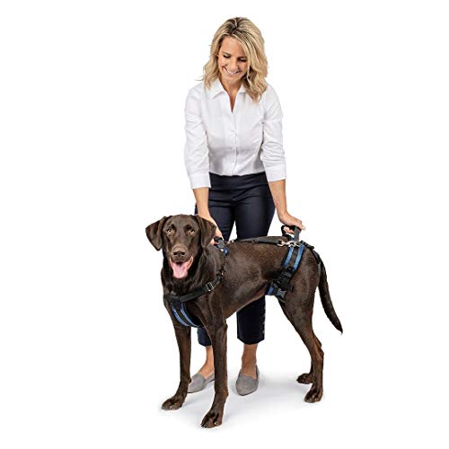 PetSafe Arnés de soporte CareLift - Ayuda para levantar el cuerpo completo con asa, Excelente para la movilidad de mascotas y perros mayores, Material cómodo y transpirable, Fácil de ajustar - Grande