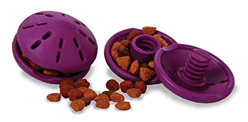 PetSafe - Juguete dispensador Busy Buddy Twist 'n Treat.