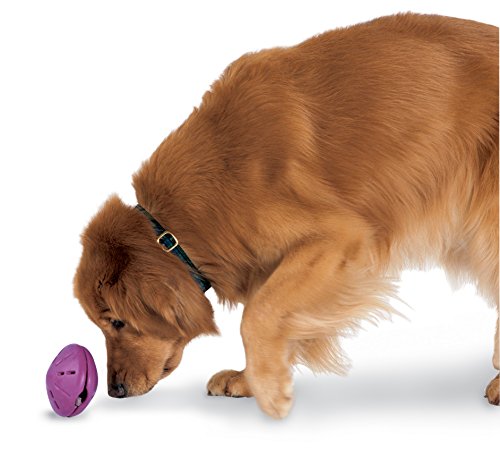 PetSafe - Juguete dispensador Busy Buddy Twist 'n Treat.