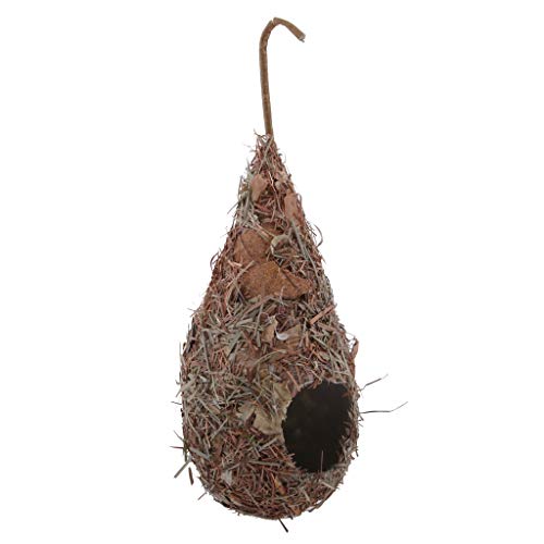 PETSOLA 8 Pcs Casa para Pájaros Nido de Aves Agujero del Pájaro al Aire Libre Natural Ornamento de Jardín para Loros o Periquitos Pinzones - 5 Piezas