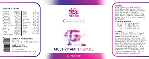 Pets&Vets mulitvitamin de Fórmula para ausgewachsene Perros, 90 Pastillas Tarro Paquete, para Mantener la vitalidad Normal