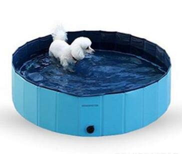 Petyoung Piscina Plegable Baño para Mascotas Piscina para el baño Piscina de baño Plegable para Perros Gatos Niños (Color : M-Blue)