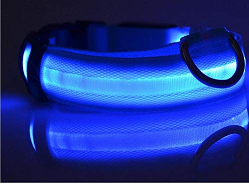 PiniceCore Collar de Perro de Nylon para Mascotas LED, Caja Noche Resplandor Que Destella En La Correa del Perro Oscuro, Suministros Perros Luminoso Fluorescente Collares para Mascotas