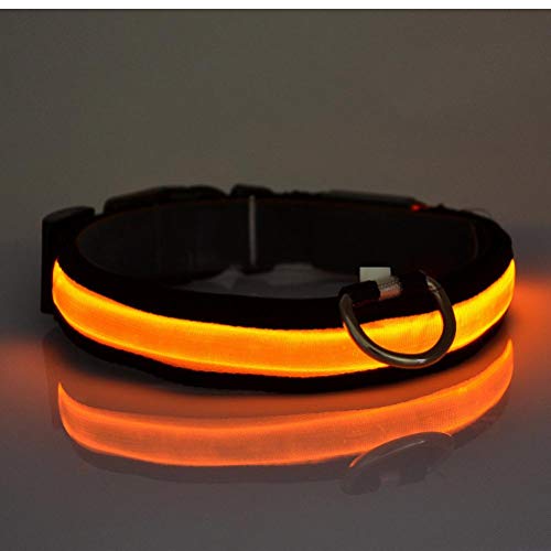 PiniceCore Collar de Perro Que Brilla Perro llevó la Collar de Seguridad Intermitente luz Fluorescente del Perrito de Luz Cuello hacia Arriba Luminoso LED de Nylon Correa para el Cuello