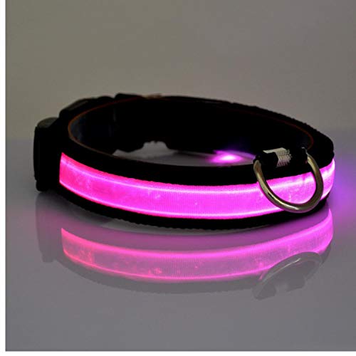 PiniceCore Collar de Perro Que Brilla Perro llevó la Collar de Seguridad Intermitente luz Fluorescente del Perrito de Luz Cuello hacia Arriba Luminoso LED de Nylon Correa para el Cuello