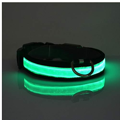 PiniceCore Collar de Perro Que Brilla Perro llevó la Collar de Seguridad Intermitente luz Fluorescente del Perrito de Luz Cuello hacia Arriba Luminoso LED de Nylon Correa para el Cuello