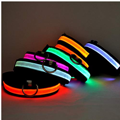 PiniceCore Collar de Perro Que Brilla Perro llevó la Collar de Seguridad Intermitente luz Fluorescente del Perrito de Luz Cuello hacia Arriba Luminoso LED de Nylon Correa para el Cuello