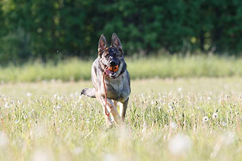 PlayfulSpirit Pelota de Goma con Cuerda – Juguete para perros – Pelota de adiestramiento para perros - Juguete de Tamaño Medio para Jugar a la Captura, la Cogida, para Lanzar y Halar