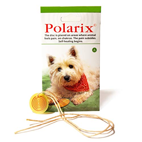 Polarix© per animal -Disco per sollievo dal dolore | Medicina alternativa di supplemento di articolazione del cane Instant Natural Healing for Dogs Cats Cavalli e Animali domestici Chakra Healing Disc