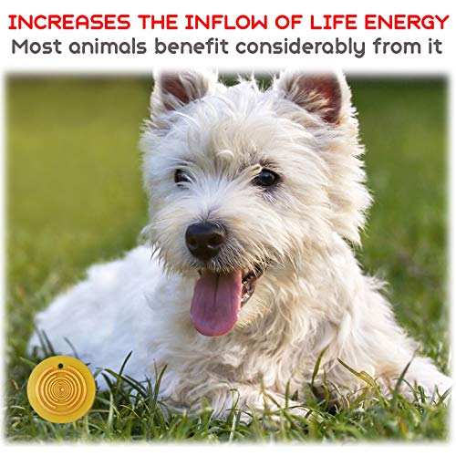 Polarix© per animal -Disco per sollievo dal dolore | Medicina alternativa di supplemento di articolazione del cane Instant Natural Healing for Dogs Cats Cavalli e Animali domestici Chakra Healing Disc