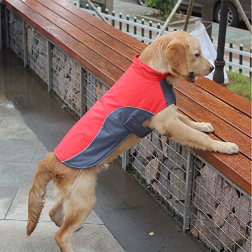 POPETPOP Chaqueta de Invierno para Perros Chaqueta de Lana Impermeable para Mascotas Parka Ropa de Perro de Abrigo para Perros Grandes Tamaño XL (Rojo)