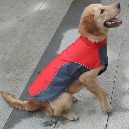 POPETPOP Chaqueta de Invierno para Perros Chaqueta de Lana Impermeable para Mascotas Parka Ropa de Perro de Abrigo para Perros Grandes Tamaño XL (Rojo)