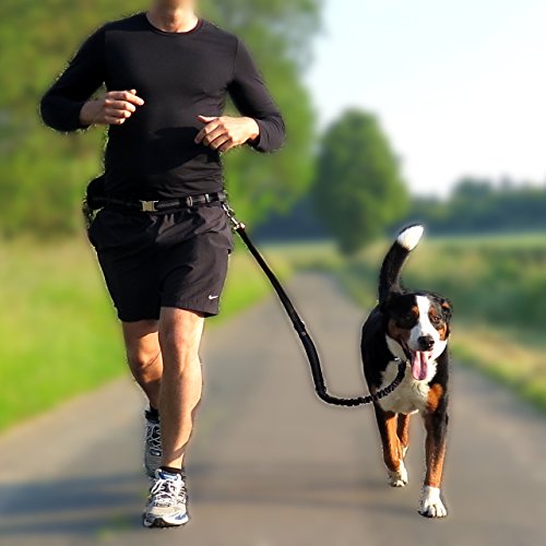 Premium Jogging de cuerda (Segura metal de componentes, respetuoso con el medio ambiente del paquete | Softer abdominal de neopreno | 2 GRATIS libros | Pets 'ndogs