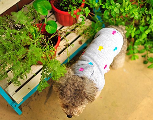 PRIMA Cachorro Perros Chaqueta Sudadera con Capucha Abrigo de Invierno con Forro Polar para Pequeñas y Medianas Perros, Gris, Gris XS