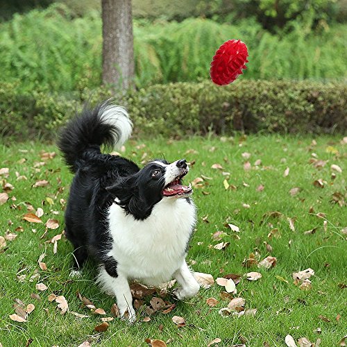 Pro Goleem Juguete de Goma para Masticar, Huevo de Dinosaurio Indestructible para Cachorros, Perros pequeños y medianos, Rojo