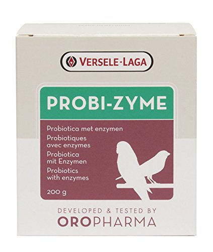 Probizyme Probiotico 200 gr