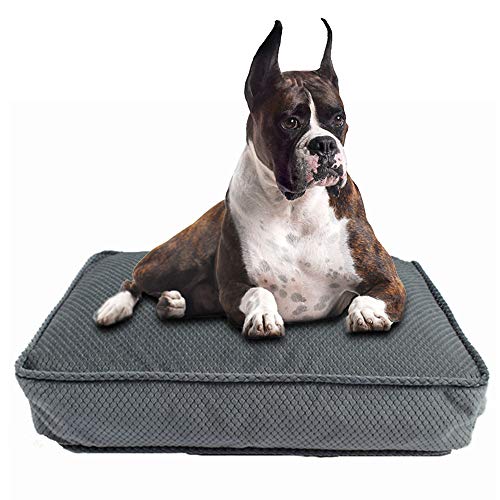 Productos para mascotas Camas para perros Alfombrillas Puppy Pad Banco para perros Sofá Tumbona Cama para perros Alfombrilla para perros pequeños Medianos grandes Pitbull House para gatos,L70x50x12cm