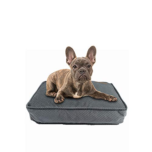 Productos para mascotas Camas para perros Alfombrillas Puppy Pad Banco para perros Sofá Tumbona Cama para perros Alfombrilla para perros pequeños Medianos grandes Pitbull House para gatos,L70x50x12cm