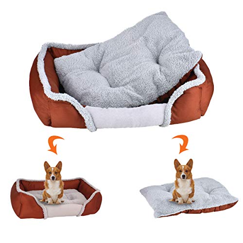 Queta - Cama para Gatos, Bonita Cama para Animales, Cama para Perros pequeña, Cama para Mascotas, Rectangular, Ultra Felpa, Suave, Gato, Lavable, para Todo el año