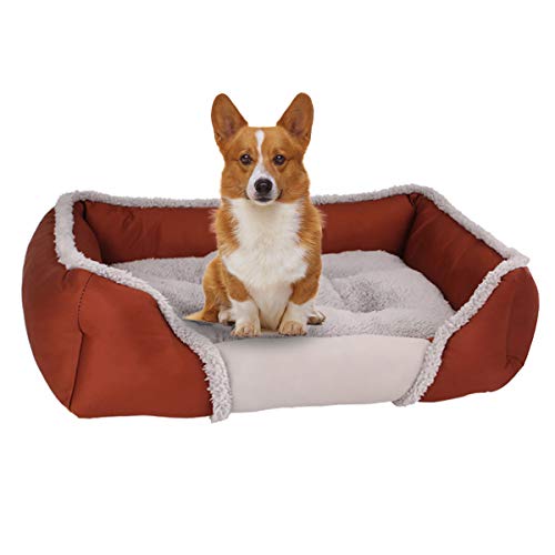 Queta - Cama para Gatos, Bonita Cama para Animales, Cama para Perros pequeña, Cama para Mascotas, Rectangular, Ultra Felpa, Suave, Gato, Lavable, para Todo el año