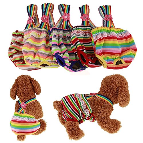 RC GearPro Pack de 2 pañales Lavables Perros, Bragas sanitarias para Mascotas con Liguero para Perras, Color al Azar (XS)