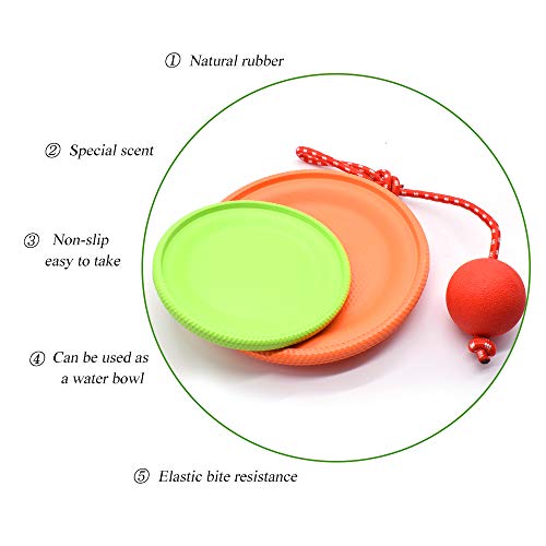 REAYOU Frisbee Mascota +Bolas para Perros para el Entrenamiento del Animal Doméstico del IQ Que Juega Masticando Entrenamiento Interactivo al Aire Libre e Interior(L, Orange)