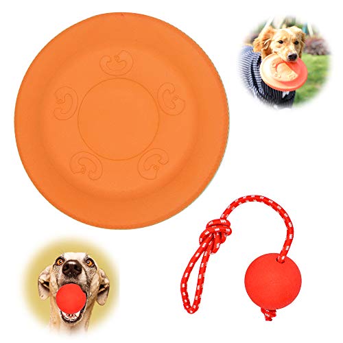 REAYOU Frisbee Mascota +Bolas para Perros para el Entrenamiento del Animal Doméstico del IQ Que Juega Masticando Entrenamiento Interactivo al Aire Libre e Interior(L, Orange)