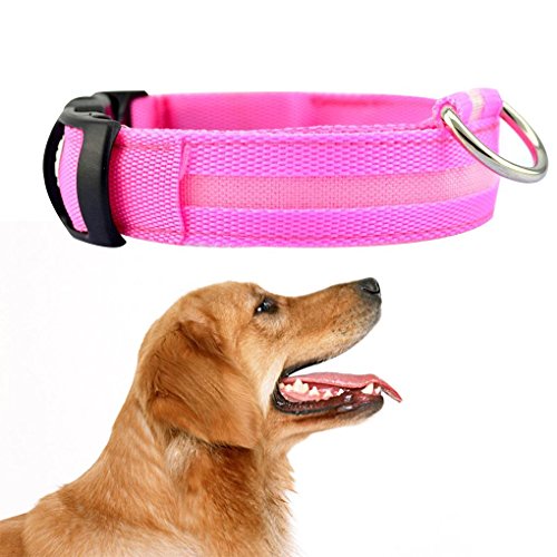 Regard L Collar de Perro Pet LED Correa Que Destella Perro Glow Neck Belt Collares para Mascotas Fluorescente Cat Cuello de la Correa de la Cuerda de la Cuerda