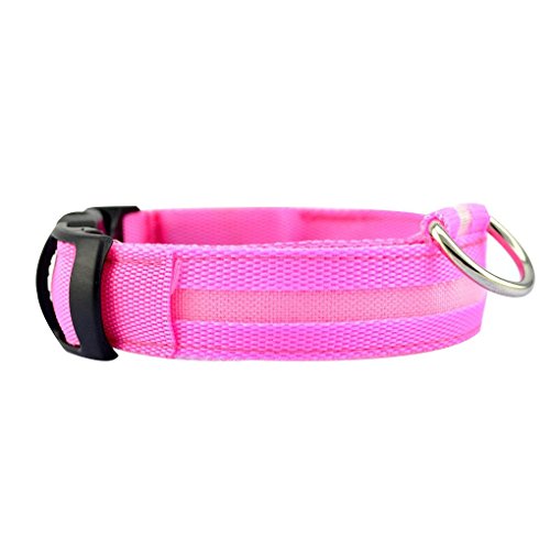 Regard L Collar de Perro Pet LED Correa Que Destella Perro Glow Neck Belt Collares para Mascotas Fluorescente Cat Cuello de la Correa de la Cuerda de la Cuerda