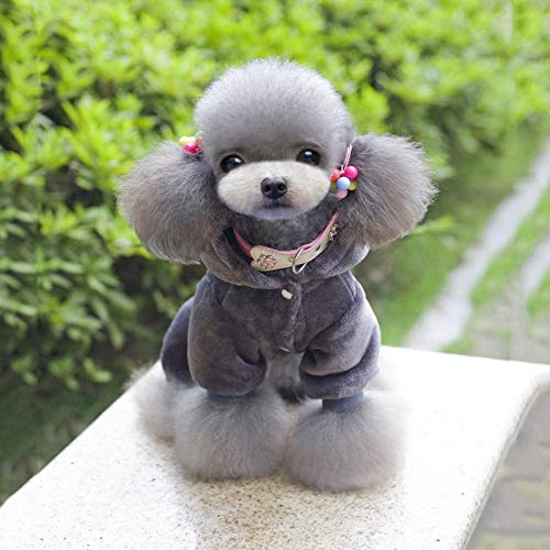 Ropa De Otoño E Invierno, Además De Ropa Gruesa De Terciopelo Para Perros, Ropa Para Mascotas, Ropa Para Perros De Cuatro Patas, Abrigo De Transformación De Chinchilla Gruesa De Oso De Peluche-L