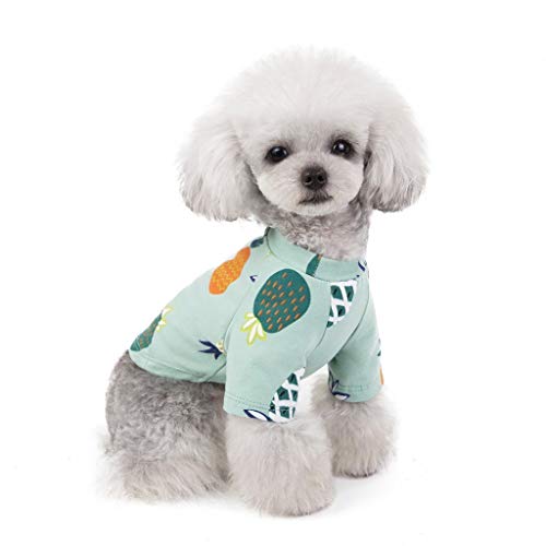 Ropa de Verano para Mascotas, Camiseta de Estampados de PiñA, Lindo Vestido para Perro y Gato, Vestido Princesa, para Pequeños y Medianos Yorkshire Chihuahua