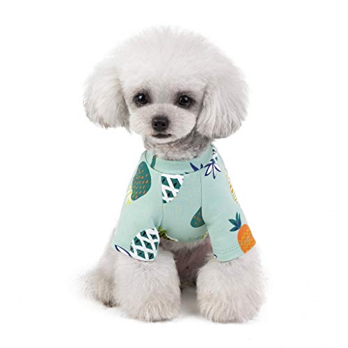 Ropa de Verano para Mascotas, Camiseta de Estampados de PiñA, Lindo Vestido para Perro y Gato, Vestido Princesa, para Pequeños y Medianos Yorkshire Chihuahua