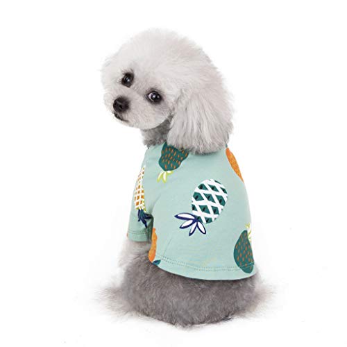 Ropa de Verano para Mascotas, Camiseta de Estampados de PiñA, Lindo Vestido para Perro y Gato, Vestido Princesa, para Pequeños y Medianos Yorkshire Chihuahua