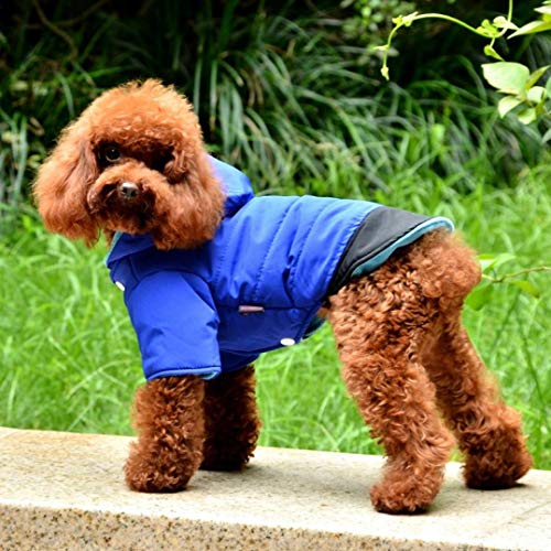 Ropa sólida para Mascotas de Invierno Abrigo de Perro con Capucha Caliente Cachorro Chaqueta Impermeable para Perros pequeños medianos Grandes