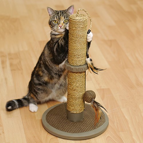 Rosewood - Poste rascador Vigo para Gatos.