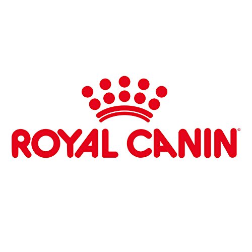 Royal Canin C-58385 Feline Ageing +