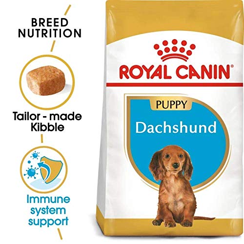 ROYAL CANIN Dachshund Junior 30 Dry Mix 1,5 kg