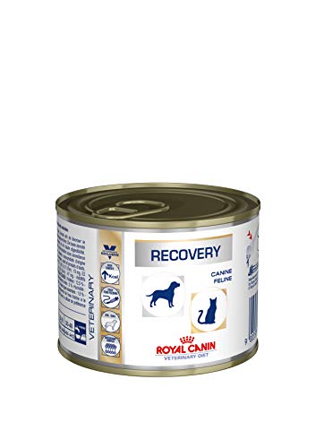 ROYAL CANIN Diet Can/Fel Recovery (12 x 195gr)