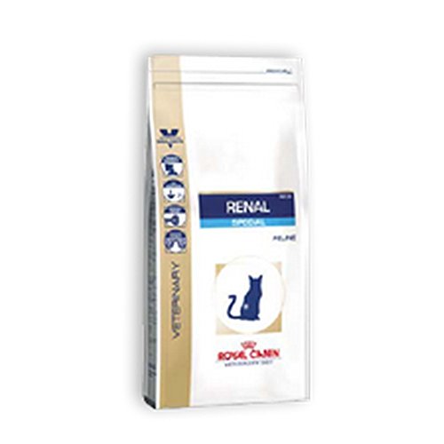 Royal Canin Renal Special - Comida para Gatos, 500 gr