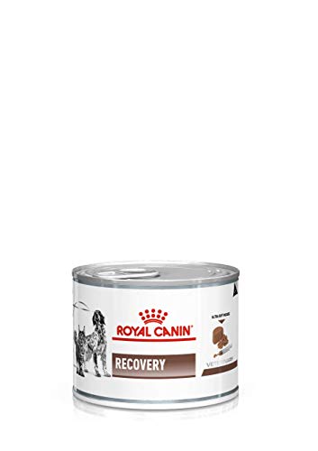 ROYAL CANIN Veterinary Diet Recovery Comida para Perro/Gato