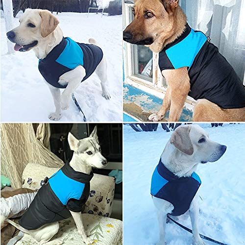 SALOVES Ropa para Mascotas Perros Invierno Chaleco Caliente Abrigo Chaqueta Traje para Mascotas Gato Perro Cachorro Ropa Algodón Suave Aprueba de Agua Navidad Talla 3XL-7XL