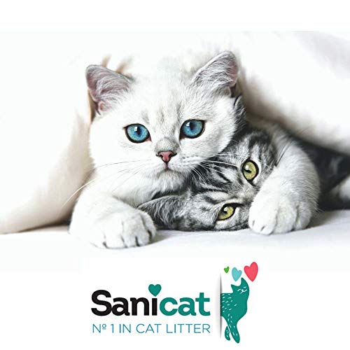 Sanicat Classic Arena Absorbente de Gatos - 30L