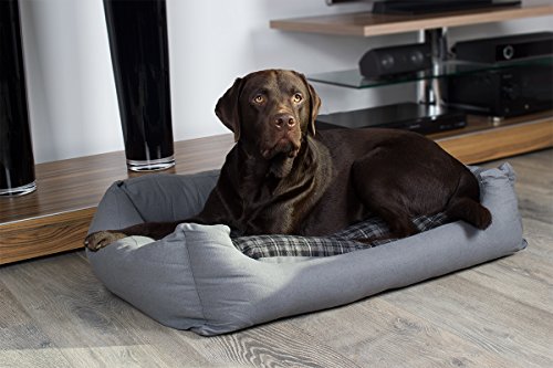 SAUERLAND Cama para Perros en Gris Moderno, 120x80 cm con colchoneta Reversible, colchoneta para Perro Lavable